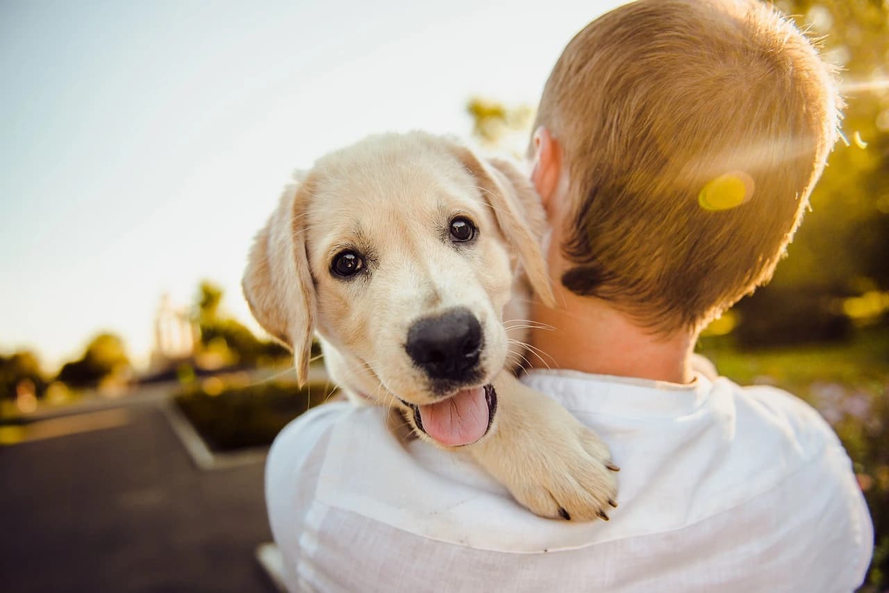 People and pets benefiting from ionic sea minerals